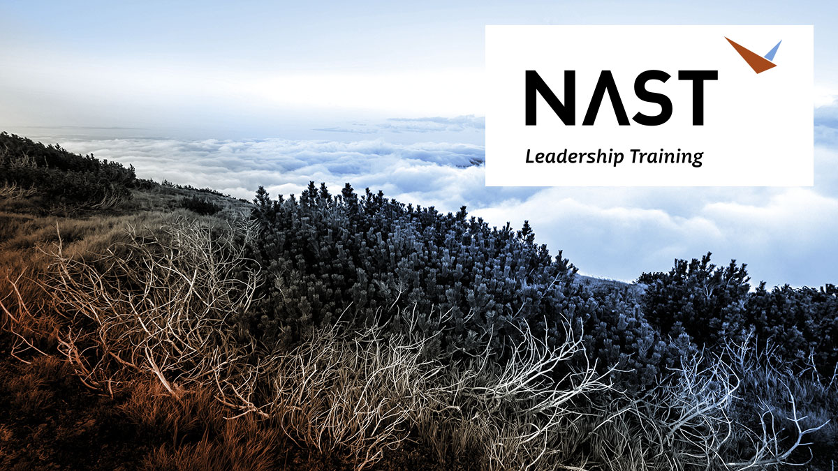 (c) Nast-leadership.ch